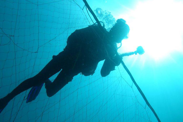Le Métier de Biologiste Marin