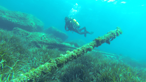 Epave accessible aux niveau 1 Plonger du bord sur l’épave du Navarre